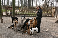 Susann Rieder